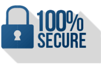 100% Secure